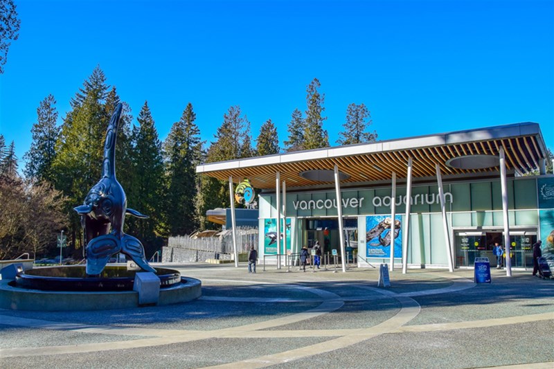 آکواریوم ونکوور یا Vancouver Aquarium