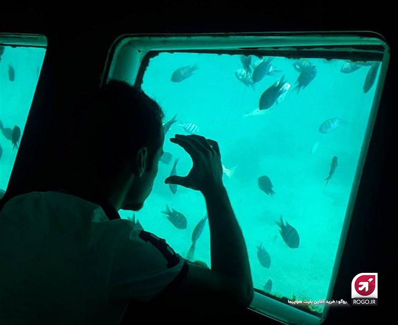 سفر تابستانی به کیش