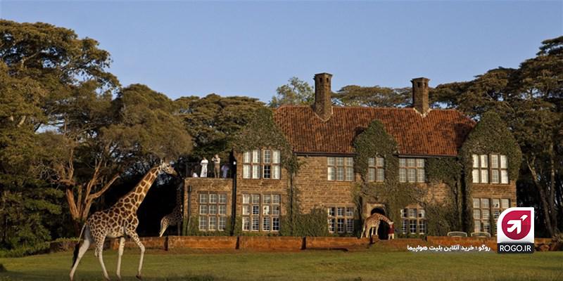 زرافه های هتل