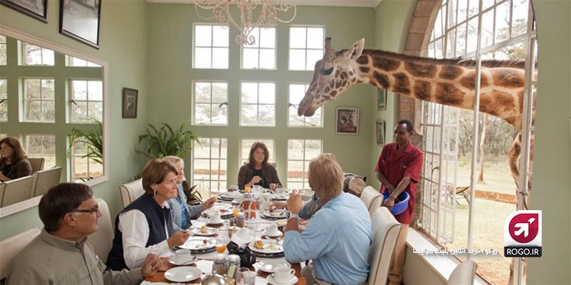 هتل زرافه ای