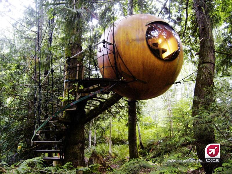 هتل در جنگل