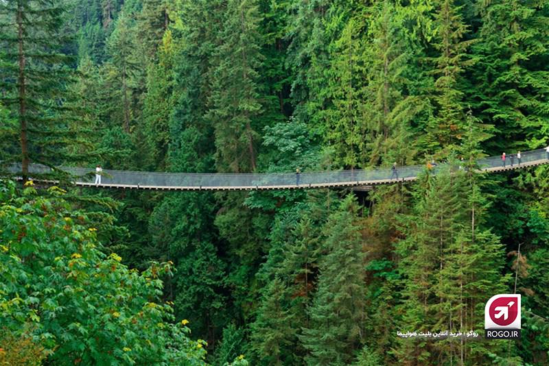 پل کاپیلانو