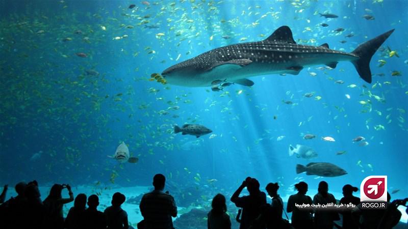 آکواریم بانگوک