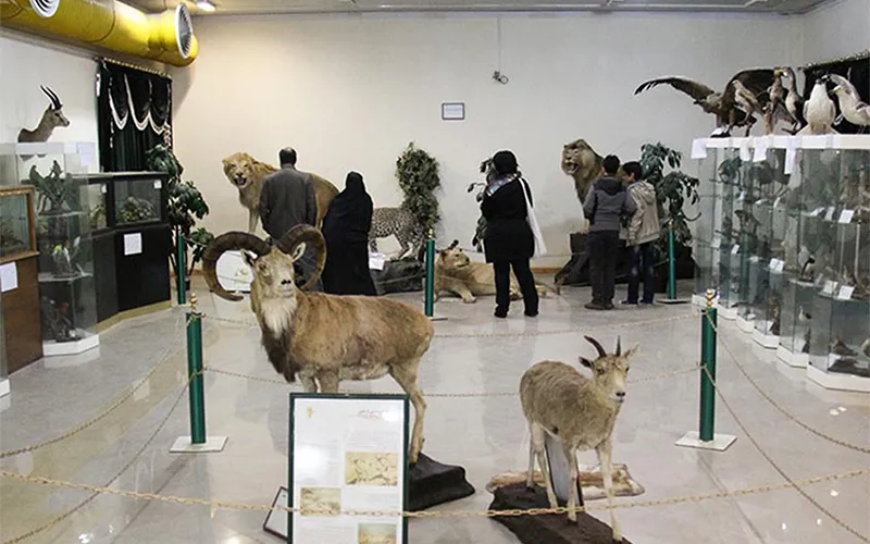 موزه تاریخ طبیعی اردبیل