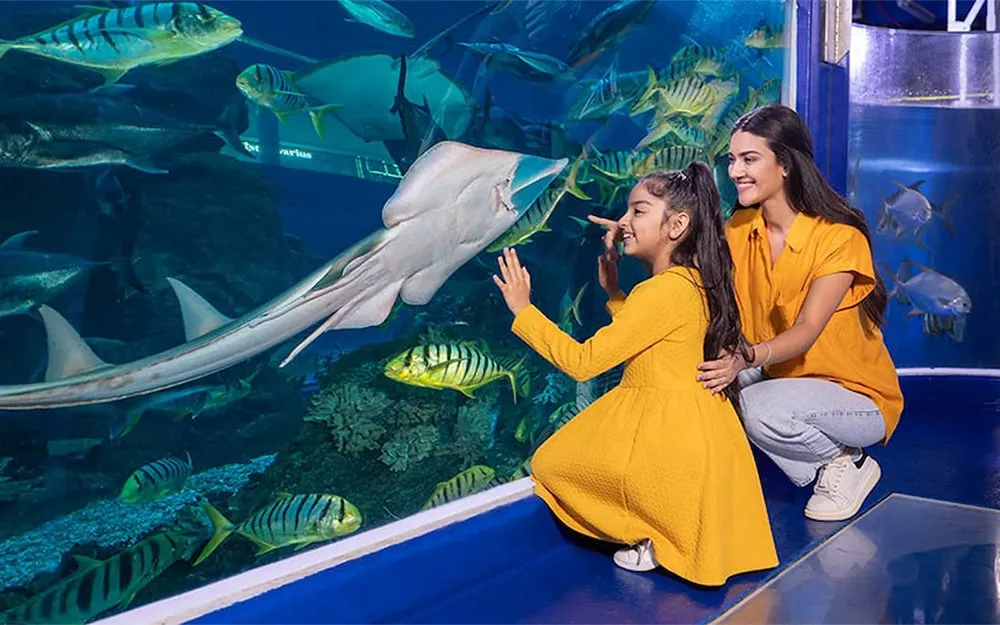 آکواریوم دبی و باغ وحش زیر آب