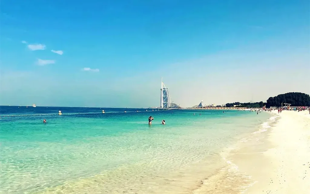 ساحل بلک پالاس